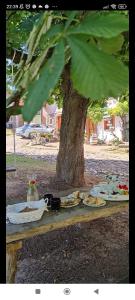 a picnic table under a tree with plates of food at Koňsky ap in Pouzdřany