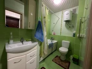 (( Turksib ))One-room apartment opposite Almaty Airport的绿色浴室设有水槽和卫生间