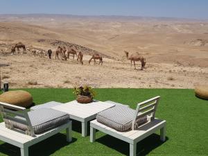 una mesa y sillas con camellos en el desierto en Sun, Mountain & Adventure, en Arad