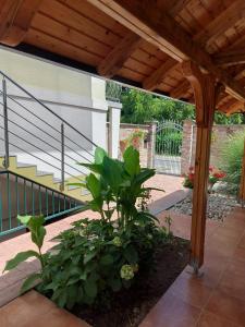 Garden sa labas ng Apartman Kovač-Bilje