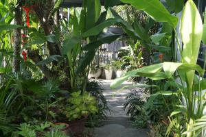 Garden sa labas ng Sunny Garden Homestay