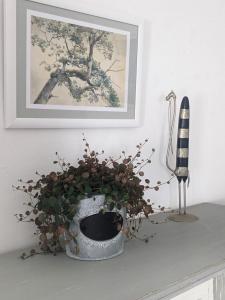 a plant in a pot on a table with a picture at Kleine Villa - ganzes Stadthäuschen für Gruppen Familien oder nur zu Zweit in Bamberg