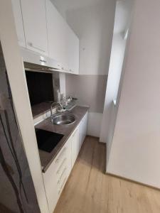 een kleine keuken met een wastafel en een aanrecht bij Ancora apartment Anja in Novi Sad