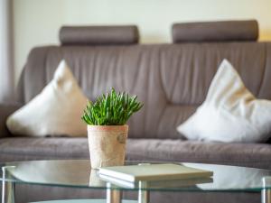 een tafel met een potplant op een bank bij Apartment Schönblick - F 55 by Interhome in Dittishausen