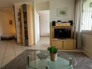 een woonkamer met een tv en een glazen tafel bij Apartment Schönblick - F 55 by Interhome in Dittishausen