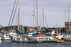 eine Gruppe von Booten, die in einem Hafen angedockt sind in der Unterkunft Residence Inn by Marriott Boston Harbor on Tudor Wharf in Boston