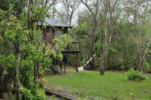 a tree house in the middle of the woods at La Tolerancia in Tigre