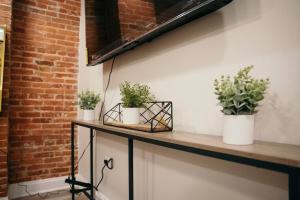 een toonbank met drie potplanten erop bij Sleek and Cozy Micro Fells Point Residence! in Baltimore