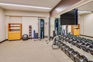 Gimnasio o equipamiento deportivo en DoubleTree by Hilton Hotel & Suites Jersey City