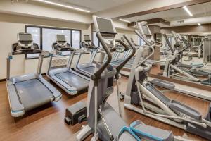 Gimnasio o equipamiento deportivo en DoubleTree by Hilton Hotel & Suites Jersey City