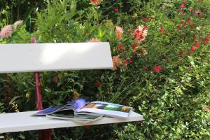 a book sitting on a bench next to a bush at Logis Hôtel de l'Europe in Poitiers