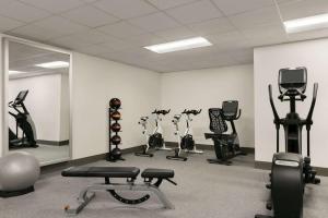 Gimnasio o equipamiento deportivo en DoubleTree by Hilton New Orleans