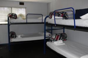 a group of bunk beds in a dorm room at Batemans Bay Holiday Park & Hostel in Batemans Bay