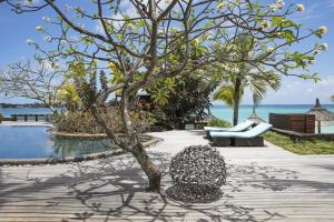 a tree sitting on a patio next to a pool at Royal Palm Beachcomber Luxury in Grand Baie