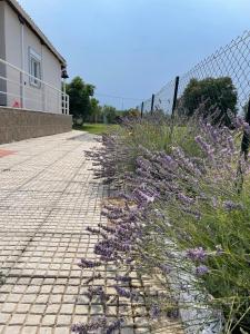 Nuotrauka iš apgyvendinimo įstaigos Villa ,,Sea Breeze,, - home by the sea mieste Nea Anchialas galerijos