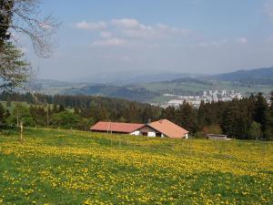 Peisaj natural din apropierea acestui B&B