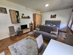 uma sala de estar com um sofá e uma televisão em ALOHA apartment em Novi Pazar