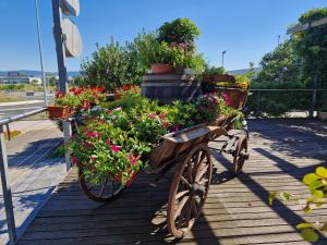 a wooden cart filled with potted plants and flowers at Safir Hotel Casino in Sežana