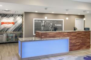 lobby z blatem ze szczęśliwym znakiem na ścianie w obiekcie Hampton Inn & Suites Rocky Hill - Hartford South w mieście Rocky Hill