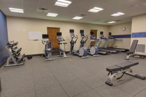 um ginásio com filas de passadeiras e máquinas de exercício em Hampton Inn & Suites by Hilton Tampa Busch Gardens Area em Tampa