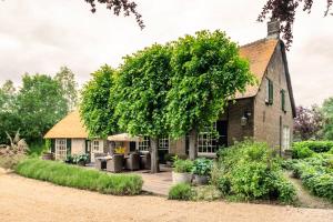 Una casa vieja con un árbol delante. en Filion's Place, en Roosendaal