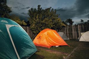 un groupe de tentes dans l'herbe sous un ciel nuageux dans l'établissement Camping Yellow Plum, à Puerto Natales