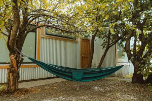 un hamac suspendu à deux arbres devant une maison dans l'établissement Camping Yellow Plum, à Puerto Natales