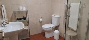 uma casa de banho com um WC, um lavatório e um chuveiro em Parreirais dos Moquinhos em Minde