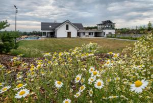 un champ de fleurs devant une maison dans l'établissement Ubytování v soukromí v Šachu, à Volfířov