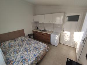 Virtuve vai virtuves zona naktsmītnē villa rain cesme