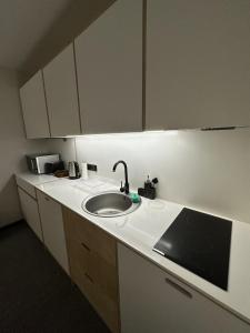 Apartment Kokhta-Mitarbi B3 408 주방 또는 간이 주방