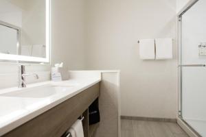 Holiday Inn Express Toledo North, an IHG Hotel tesisinde bir banyo