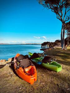 zwei Kajaks auf dem Rasen neben dem Wasser in der Unterkunft 'Swan Cottage' Port Stephens Waterfront Solace in Newcastle