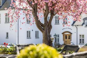 A garden outside Stella Maris