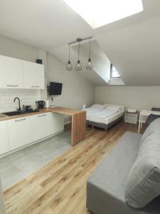 kuchnia i salon z kanapą i stołem w obiekcie Apartamenty na Rynku Tarnów w Tarnowie