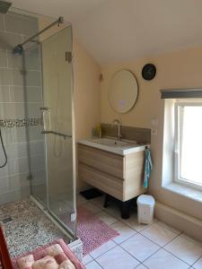 bagno con lavandino e doccia in vetro di Maison d’izier a Izier