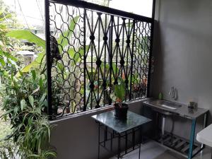 een raam met een hek met een wastafel en planten bij rumah566 in Yogyakarta