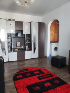 Virtuve vai virtuves zona naktsmītnē Apartament 2 Camere