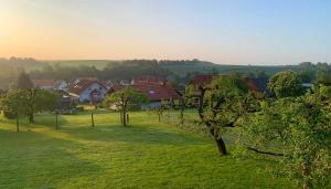 een groep huizen in een veld met bomen bij Ferienhaus Liebchen free Netflix in Freienhagen