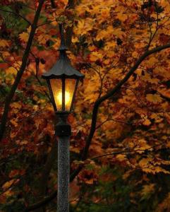 ein Straßenlicht vor einem Baum in der Unterkunft Σπίτι με θέα in Nafpaktos