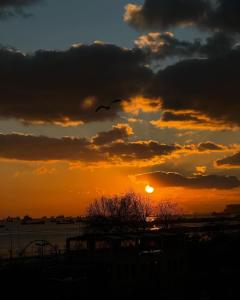 イスタンブールにあるグリーン ライフ アパート ホテルの空を飛ぶ鳥の夕日