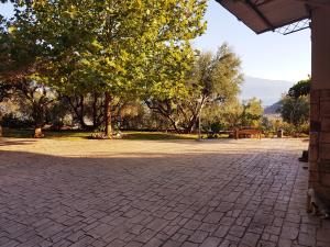 eine Terrasse mit einem Baum und einer Bank in einem Park in der Unterkunft Σπίτι με θέα in Nafpaktos