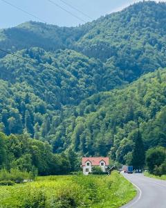 uma casa ao lado de uma estrada em frente a uma montanha em Hotel Tys em Dilove