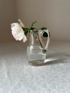 un vase en verre avec une fleur blanche dans l'établissement Apartmán Svítkov 21, à Pardubice