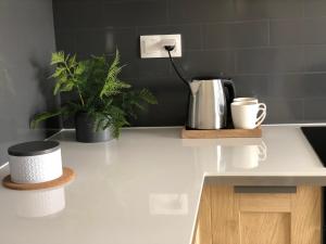 una encimera de cocina con 2 plantas y cafetera en Apartament Patio Vita -garaż podziemny, taras,wejście klamka kod,centrum, en Kielce