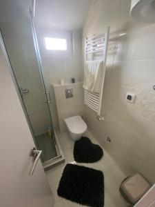 a bathroom with a toilet and a shower and rugs at Apartman Una in Čačak