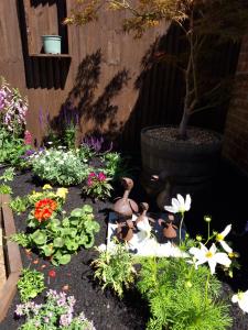 A garden outside The Bugle Inn