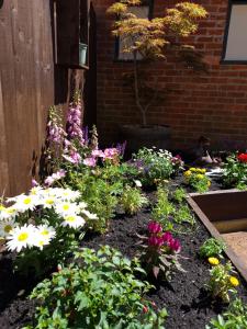 A garden outside The Bugle Inn