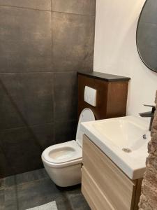 bagno con servizi igienici e lavandino di Au p'tit cachot (Gîte insolite) a Vaux-sur-Sûre