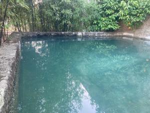 un bassin d'eau bleue avec des arbres en arrière-plan dans l'établissement Ar da Beira, à Belmonte